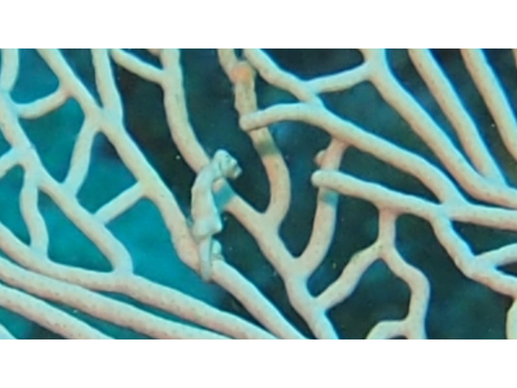 PN160346 - Version 3 PN160346 - Version 3